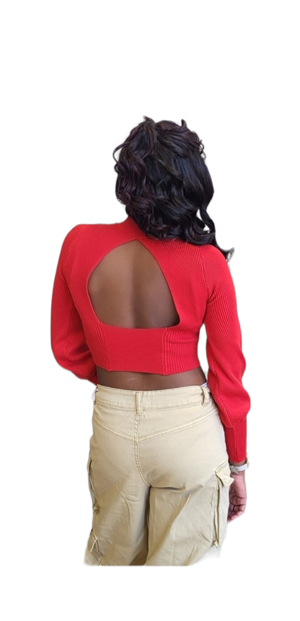 Raven Red Rib Crop Top